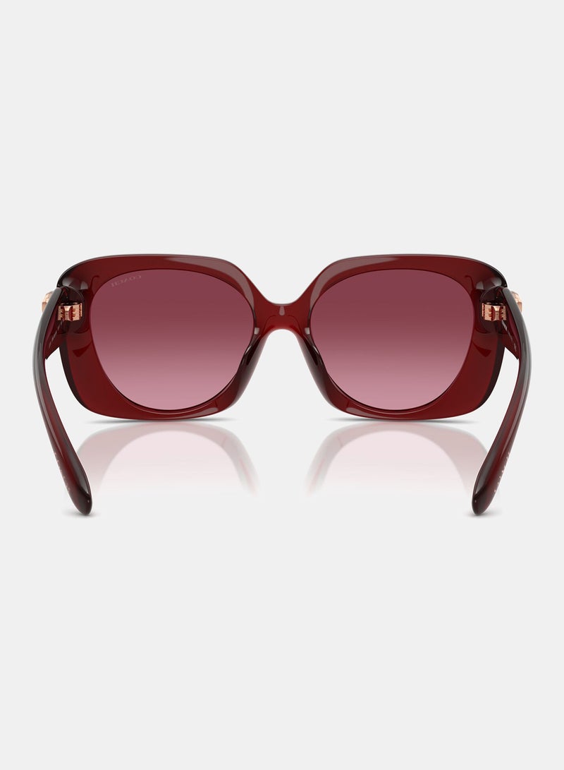 كوتش نظارة شمسية بإطار كامل مربع 8422U, 55, 5870, 8H - Image 3